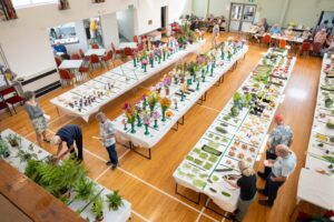 Bolton-le-Sands Horticultural Society